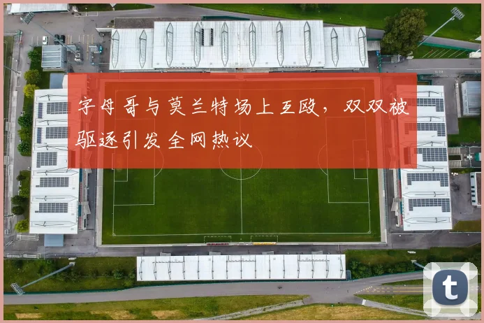 字母哥与莫兰特场上互殴，双双被驱逐引发全网热议
